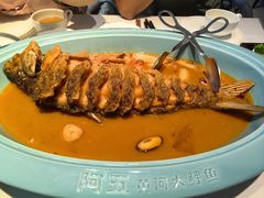 -阿五黄河大鲤鱼(英协路店)