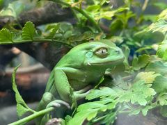 -上海大自然野生昆虫馆(东方明珠·爬宠昆虫探索中心)