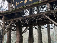 -青城山