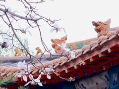 -碑林公园