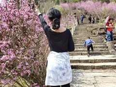 -天台山赤城山景区