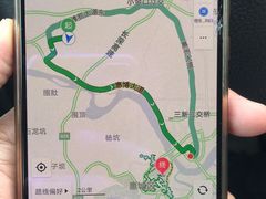 -罗浮山嘉宝田森林温泉度假酒店