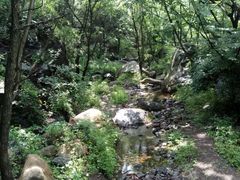 -云岫谷自然风景区