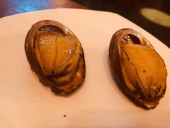 野生鲍鱼-JUKEBOX玖部音乐餐厅(华侨城店)