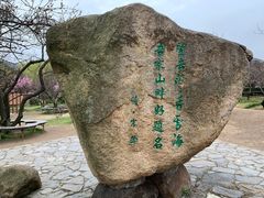 -香雪海