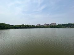 -昆山城市生态森林公园