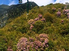 -玉苍山国家森林公园