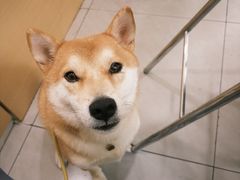 -章云板鸭(总店)