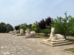 -北京十三陵国家森林公园蟒山景区