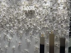 -北京SKP