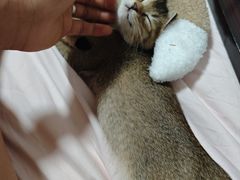 -宠颐生宠物医院(·宠保定点·鹰潭分院)