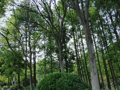 -杭州城北体育公园