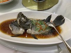 -骏莱海鲜鱼港(五角场店)
