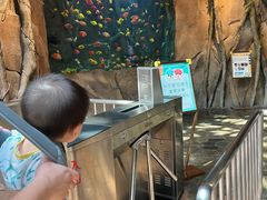 -杭州开元森泊度假乐园