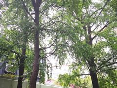 -奎星楼街
