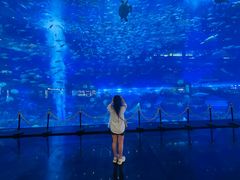 -成都浩海立方海洋公园