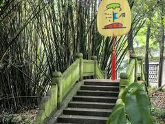 -柯岩风景区