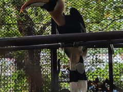 -深圳野生动物园