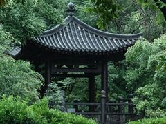 -深圳国际园林花卉博览园