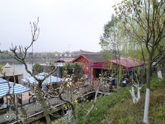 -马帮寨院坝火锅(龙港公园店)