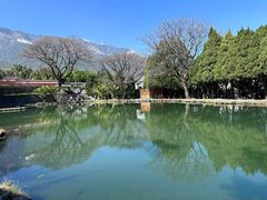 -崇圣寺三塔文化旅游区