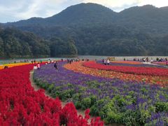 -广州市石门国家森林公园