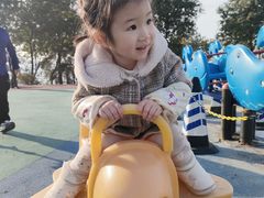 -铁山坪森林公园