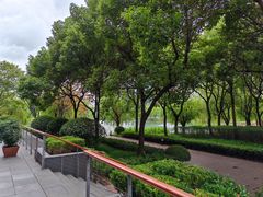 -金桥现代产业园区-停车场