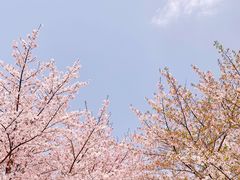 -龙美术馆(西岸馆)