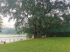 -白云湖畔酒店-湖畔餐厅