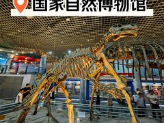 -国家自然博物馆