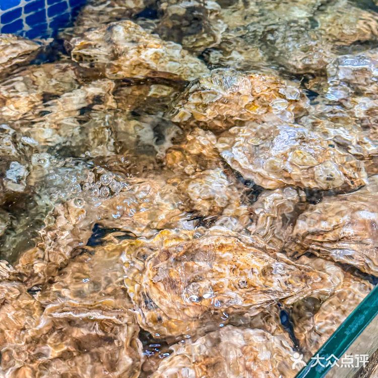 酸酸辣辣的糟粕醋锅底🔥，味道太鲜啦❗