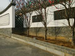 -慢丽江·云南野生菌土鸡锅(西山店)
