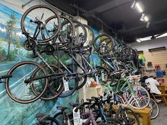 -GIANT捷安特自行车专卖店(金桥台儿庄路店)