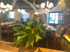 -素慧餐厅(大虹桥店)