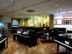 -柏斯琴行(汾阳店)