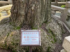 -豫园
