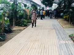 开心巴比肯农场花园烧烤-三圣里·中餐宴请·自助烤肉·烤全羊·柴火鸡(旗舰店)