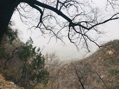 -北京鹫峰国家森林公园