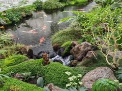 -罗红摄影艺术馆