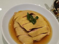 糟本鸡-金时代顺风大酒店(爱琴海购物中心店)