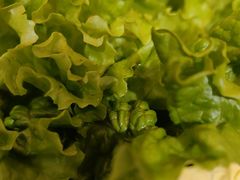 -郭记烤肉创始店(民丰大街店)
