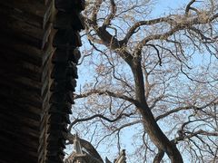 -大学习巷清真寺