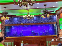 -丝路传奇·中国拉面航母店(北医三院店)