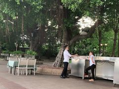-玫瑰园餐厅