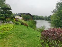 -梁鸿国家湿地公园