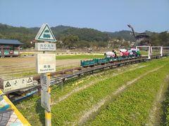 -红山村