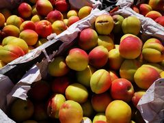 -三旗百汇商品城