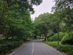 -新洲生态园