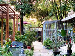 -谷咖啡·鲜花绿植花园餐厅